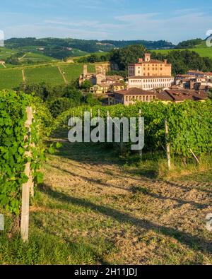 Das schöne Dorf Barolo und seine Weinberge an einem Sommernachmittag, in der Region Langhe im Piemont, Italien. Stockfoto