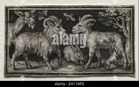 Kampf gegen die Chimären und Szenen zu Aesops Fabeln: Ziegen und Hasen, 1594. Nicolaes de Bruyn (Niederländischen, 1571-1656), A. van Londerseel. Gravur; Blatt: 3,1 x 5,7 cm (1 1/4 x 2 1/4 in.). Stockfoto