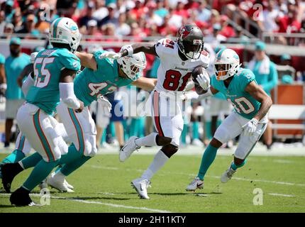 Tampa, USA. Oktober 2021. Der Tampa Bay Buccaneers Wide Receiver Antonio Brown (81) läuft am Sonntag, den 10. Oktober 2021, im Raymond James Stadium in Tampa, Florida, während des ersten Quartals auf seinem 900. Pass-Empfang gegen die Miami Dolphins. (Foto von Douglas R. Clifford/Tampa Bay Times/TNS/Sipa USA) Quelle: SIPA USA/Alamy Live News Stockfoto