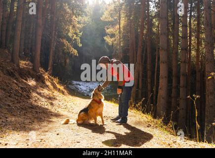 Mann spielt mit Hund im Wald, der von Sonnenlicht beleuchtet wird. Herbstsaison. Stockfoto