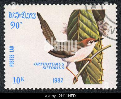 Eine in LAOS gedruckte Briefmarke zeigt den Vogelkäfer (Orthotomus sutorius) aus der Serie Birds, um 1982 Stockfoto