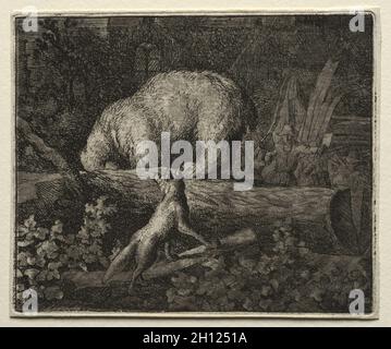 Reynard, der Fuchs: Den Bären fangen, 1650-75. Allart van Everdingen (Niederländisch, 1621-1675). Ätzen; Stockfoto