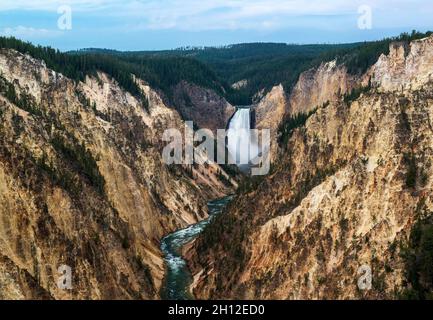 Grand Canyon des Yellowstone und Lower Falls vom Artist Point, Yellowstone National Park, Wyoming Stockfoto