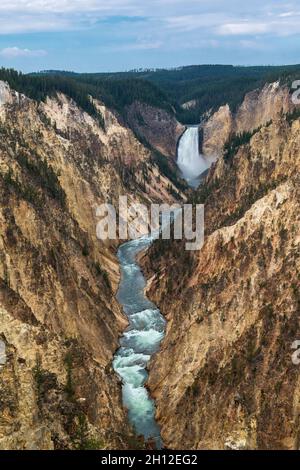 Grand Canyon des Yellowstone und Lower Falls vom Artist Point, Yellowstone National Park, Wyoming Stockfoto