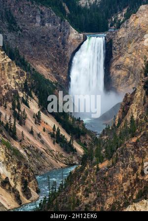 Grand Canyon des Yellowstone und Lower Falls vom Artist Point, Yellowstone National Park, Wyoming Stockfoto