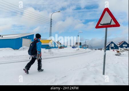 Ein Kind, das auf einer schneebedeckten Straße nach Hause geht, vorbei an einem Warnschild mit Hundeschlitten. Ilulissat, Grönland. Stockfoto
