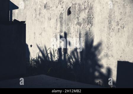 Gruselige Mondlicht-Schatten eines Grabkreuzes auf einer verlassenen Wand auf einem Friedhof als Konzepthintergrund für Halloween Stockfoto