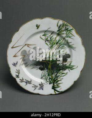 Platte: Sturm, C. 1876. Félix Bracquemond (Französisch, 1833-1914), Haviland & Co (Französisch). Porzellan; Durchmesser: 24.1 cm (9 1/2 in.). Stockfoto