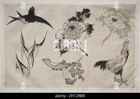 Abendessen (Rousseau service): Schlucken, Hahn und Blumen (Nr. 8), 1866. Félix Bracquemond (Französisch, 1833-1914). Ätzen; Blatt: 35,8 x 48,2 cm (14 1/8 x 19 in.); Plattenrand: 27,5 x 42,6 cm (10 13/16 x 16 3/4 in.). Stockfoto