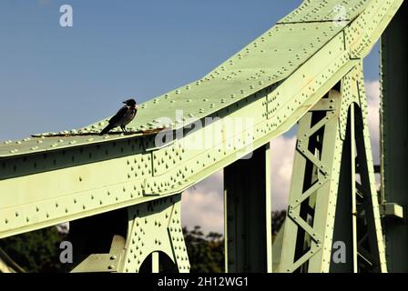 Potsdam, Glinicker-Brücke, die Brücke ist ein Symbol des Kalten Krieges; die Grenze zwischen West-Berlin und der sowjetischen Zone durchbrach die Struktur, der Fall der Berliner Mauer im November 1989, Foto Kazimierz Jurewicz, Stockfoto
