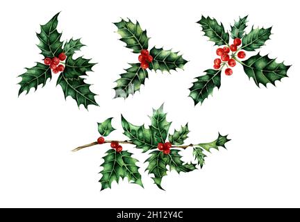 Weihnachten und Neujahr dekorative Elemente Symbol. Holly-Beeren-Set. Aquarelldarstellung isoliert auf weißem Hintergrund. Von Hand gezeichnet. Stockfoto