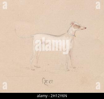 Hund, 1800. Indien, Unternehmen, Schule, 19. Farbe auf Papier; insgesamt: 17 x 21,2 cm (6 11/16 x 8 3/8 in.). Stockfoto