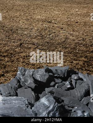 Biochar Verbesserung der Bodenqualität, konzeptuelles Bild Stockfoto