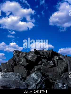 Biokohle, konzeptuelles Bild Stockfoto