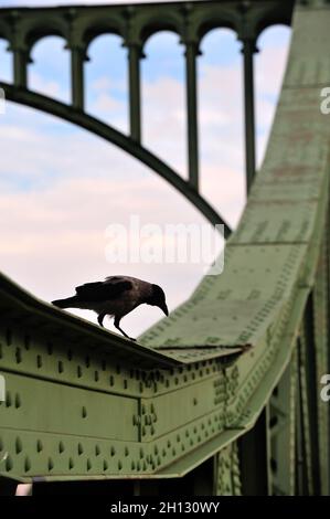 Potsdam, Glinicker Brücke, die Brücke ist ein Symbol des Kalten Krieges; die Grenze zwischen West-Berlin und der sowjetischen Zone hat das Gebäude geteilt, der Fall der Berliner Mauer im November 1989, Foto Kazimierz Jurewicz, historische Spionagebrücke Stockfoto