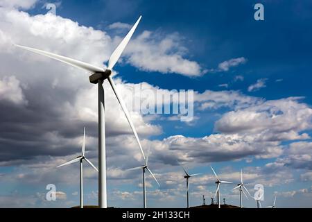 WA19673-00...WASHINGTON - Windturbinen und Zellentürmen auf dem Windpark Wild Horse bei Ellensburg. Stockfoto