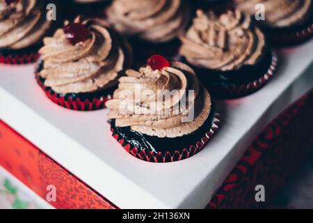 Köstliche Cupcakes aus Schokolade mit süßem, cremigem Spiralfrosting und Kirschstückchen auf der Schachtel. Stockfoto
