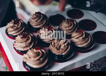 Köstliche Cupcakes aus Schokolade mit süßem, cremigem Spiralfrosting und Kirschstückchen auf der Verpackung. Stockfoto