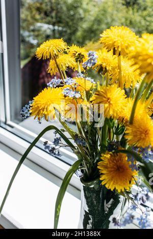 Schöner Strauß gelber Dandelionen, der auf dem Fensterbrett bei offenem Fenster in der Landschaft aus nächster Nähe steht Stockfoto