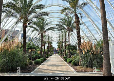 L'Umbracle in der Stadt der Künste und Wissenschaften von Valencia, Bundesland Valencia, Spanien Stockfoto