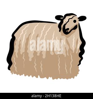 Vektor-Zeichnung von Schafen Stock Vektor