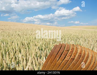 Getreidefeld und Brot in einer Collage Stockfoto