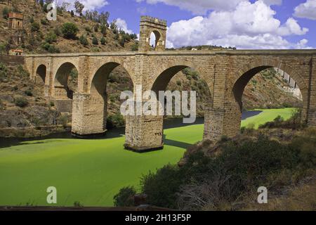 Schöne Aussicht auf die Alcantara Brücke über den Fluss Tejo in Spanien Stockfoto