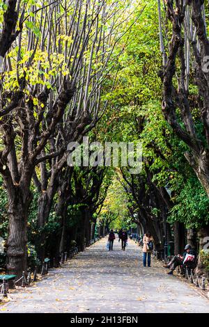 BUCHARE, RUMÄNIEN - 01. Sep 2021: Eine vertikale Aufnahme von Menschen, die im Cismigiu Park spazieren. Bukarest, Rumänien 2021 Stockfoto