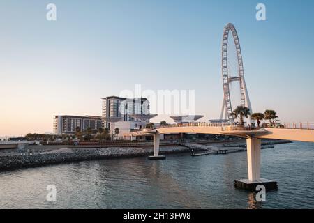 Dubai, VAE - 15. Februar 2020: Bluewaters Island mit riesiger Metallstruktur und Riesenrad, auch Ain Dubai (Dubai Eye) genannt, Freizeit- und Reisespot in Dubai in der Nähe des JBR-Strandes Stockfoto