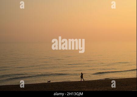 Eine junge Frau, die bei Sonnenuntergang im Oktober in East Sussex, England, ihren Hund am Ufer des Hove Beach in warmen, sanften Tönen läuft. Stockfoto