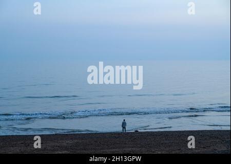 Blaue Stimmung: Eine junge Frau und ihr Hund am Ufer des Hove-Strandes blicken auf das ruhige Meer bei Sonnenuntergang. East Sussex, England. Stockfoto