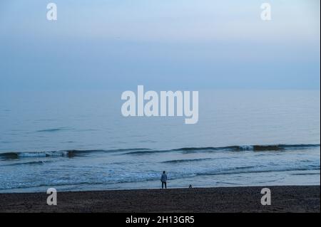 Blaue Stimmung: Eine junge Frau und ihr Hund am Ufer des Hove-Strandes blicken auf das ruhige Meer bei Sonnenuntergang. East Sussex, England. Stockfoto