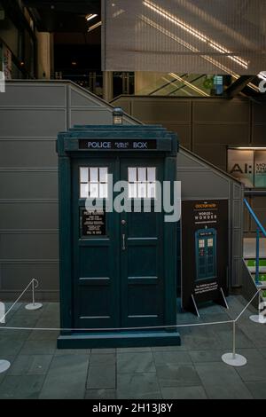 World Museum Liverpool Stockfoto