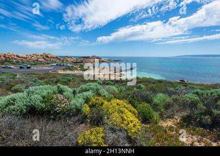 Gelbe Wildblumen blühen im Frühling in Canal Rocks, einer beliebten Touristenattraktion in der Nähe von Yallingup, Leeuwin-Naturaliste National Park, Western aus Stockfoto