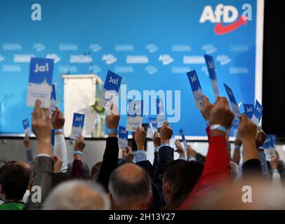 Greding, Deutschland. Oktober 2021. Greding, Deutschland. Oktober 2021. Parteimitglieder halten bei der Landesparteikonferenz der AfD Bayern Stimmkarten hoch. Die Bayerische AfD trifft sich am Samstag und Sonntag zu einer Landesparteikonferenz, wobei die Wahl des gesamten Landesvorstandes im Mittelpunkt steht. Quelle: Angelika Warmuth/dpa/Alamy Live News Quelle: dpa picture Alliance/Alamy Live News Stockfoto