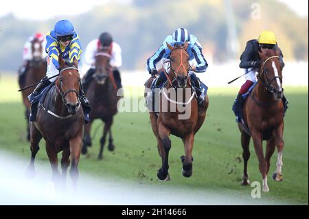 Trueshan mit Jockey Hollie Doyle (links) gewinnt den Qipco British Champions Long Distance Cup während des Qipco British Champions Day auf der Ascot Racecourse. Bilddatum: Samstag, 16. Oktober 2021. Stockfoto