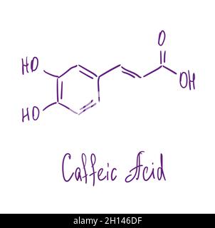 Chemische Struktur der Kaffeinsäure. Vektorgrafik von Hand gezeichnet Stock Vektor