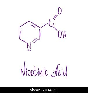 Chemische Struktur der Nikotinsäure. Vektorgrafik von Hand gezeichnet. Stock Vektor