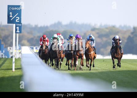 Trueshan, gefahren von Jockey Hollie Doyle (Mitte) auf dem Weg zum Sieg des Qipco British Champions Long Distance Cup während des Qipco British Champions Day auf der Ascot Racecourse. Bilddatum: Samstag, 16. Oktober 2021. Stockfoto