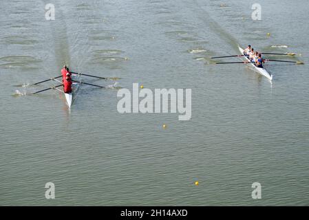 Sevilla, Spanien. Oktober 2021. Zwei vier Ruderboote für Männer, die während eines Rennens im Guadalquivir-Fluss gegeneinander antreten.Dieses Wochenende findet in Sevilla die 4. Seville International Rowing Masters Regatta mit 500 Ruderern aus 10 Ländern statt. (Foto von Angel García/Pacific Press) Quelle: Pacific Press Media Production Corp./Alamy Live News Stockfoto