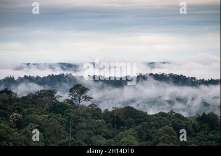 Landschaft von nebligen Bergen am regnerischen Tag am Morgen im Khao Kho Nationalpark Stockfoto