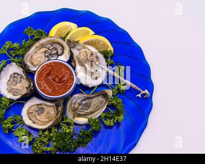 Frische, rohe Austern, die auf der Halbschale auf einem runden blauen Glasplatte mit roter Cocktailsauce und farbenfrohen Garnierungen mit viel Platz im Hintergrund serviert werden. Stockfoto