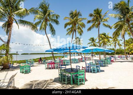Islamorada Upper Florida Keys, Pierre's Beach Cafe & Bar Restaurant Morada Bay, Außentische, die am Wasser speisen, Sonnenschirme, Palmen Stockfoto