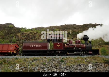 'Fiji' südlich von Bryn y Felin. Stockfoto