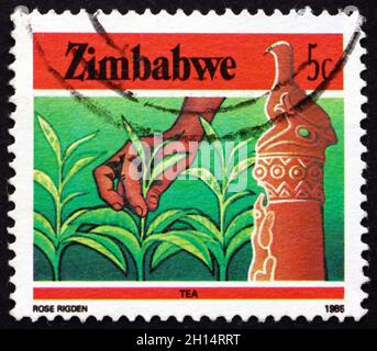 SIMBABWE - UM 1985: Eine in Simbabwe gedruckte Marke zeigt Zimbabwe Vogel und Tee, Landwirtschaft, um 1985 Stockfoto