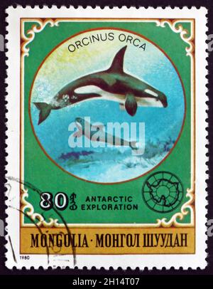 MONGOLEI - UM 1980: Eine in der Mongolei gedruckte Briefmarke zeigt den Killerwal, Orcinus Orca, einen Zahnwal, um 1980 Stockfoto