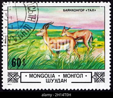 MONGOLEI - UM 1982: Eine in der Mongolei gedruckte Briefmarke zeigt Chamois, Bajanhongor Steppe, um 1982 Stockfoto