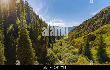 Hohe Berge mit Fichtenwald und grünem Gras in der Nähe von Almaty Stadt, Kasachstan bedeckt Stockfoto