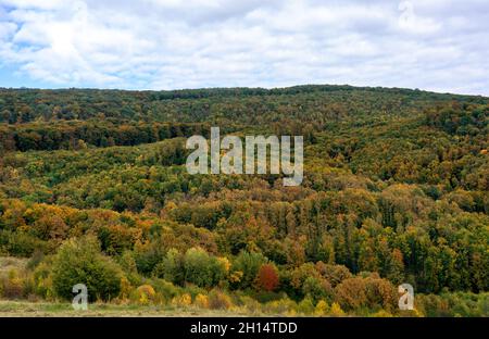 Bukk Nationalpark in Ungarn Herbst Herbstsaison . Stockfoto