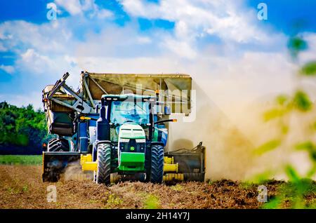 Ein Landwirt erntet Erdnüsse mit einem Erdnusskombinat, 15. Oktober 2021, in Grand Bay, Alabama. Stockfoto